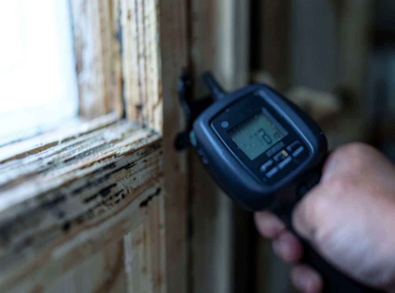 Commercial Water Damage Restoration in Nelson, WI